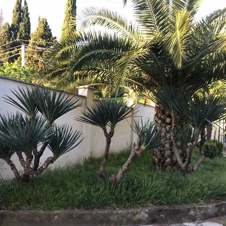 Guest House Dali Gagra Ngoại thất bức ảnh