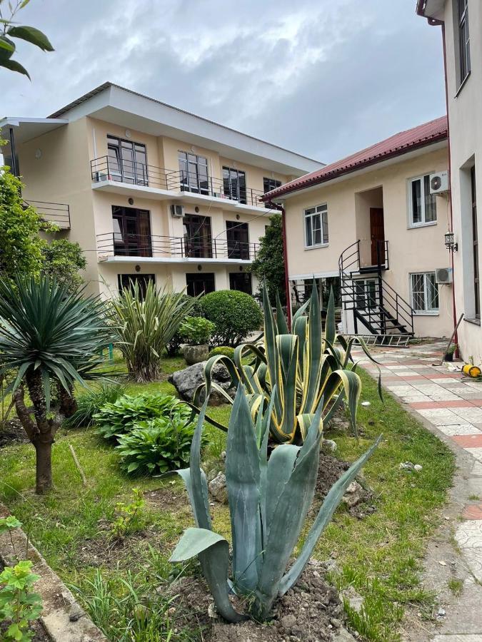 Guest House Dali Gagra Ngoại thất bức ảnh