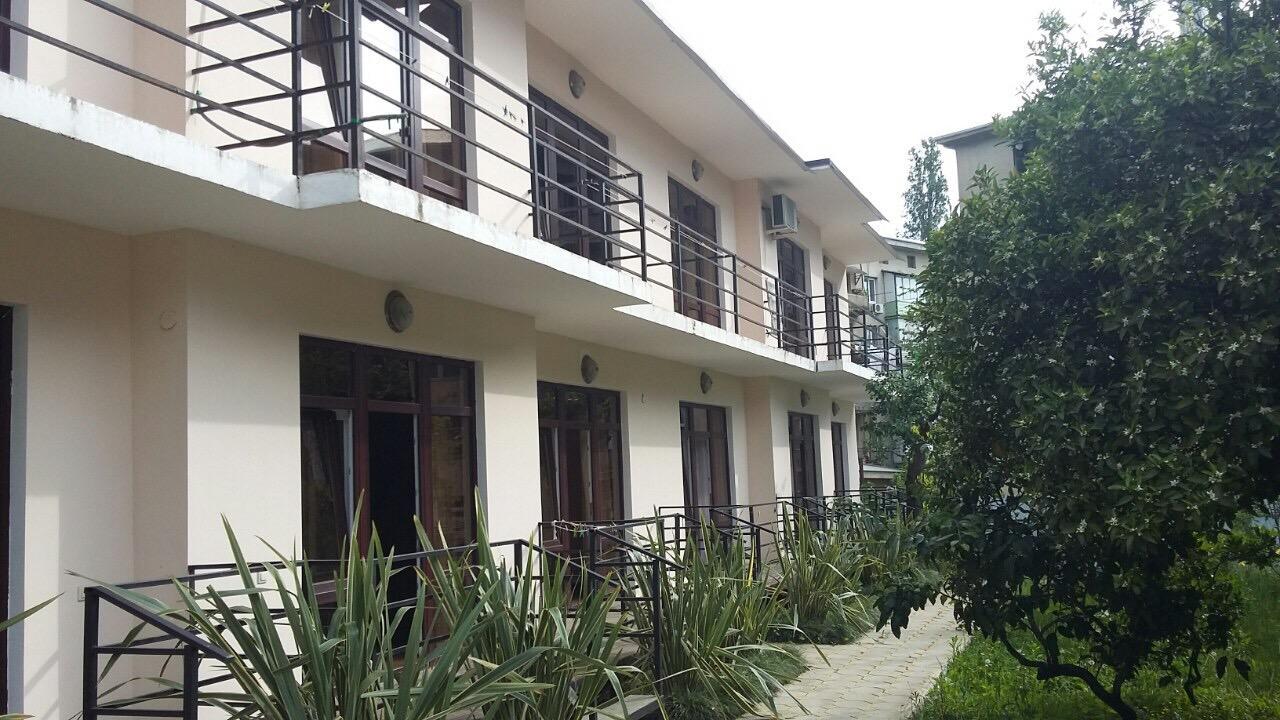Guest House Dali Gagra Ngoại thất bức ảnh