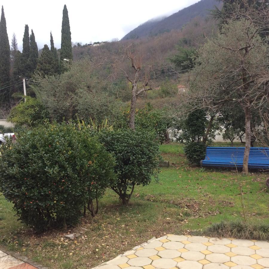 Guest House Dali Gagra Ngoại thất bức ảnh