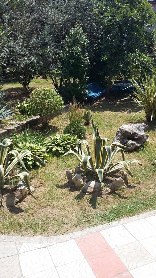 Guest House Dali Gagra Ngoại thất bức ảnh
