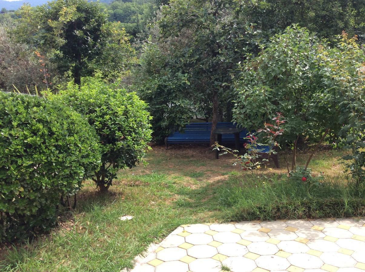 Guest House Dali Gagra Ngoại thất bức ảnh