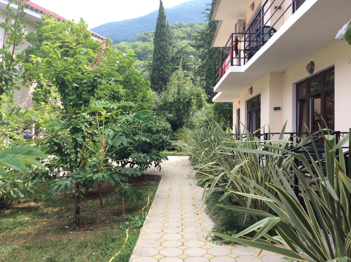 Guest House Dali Gagra Ngoại thất bức ảnh