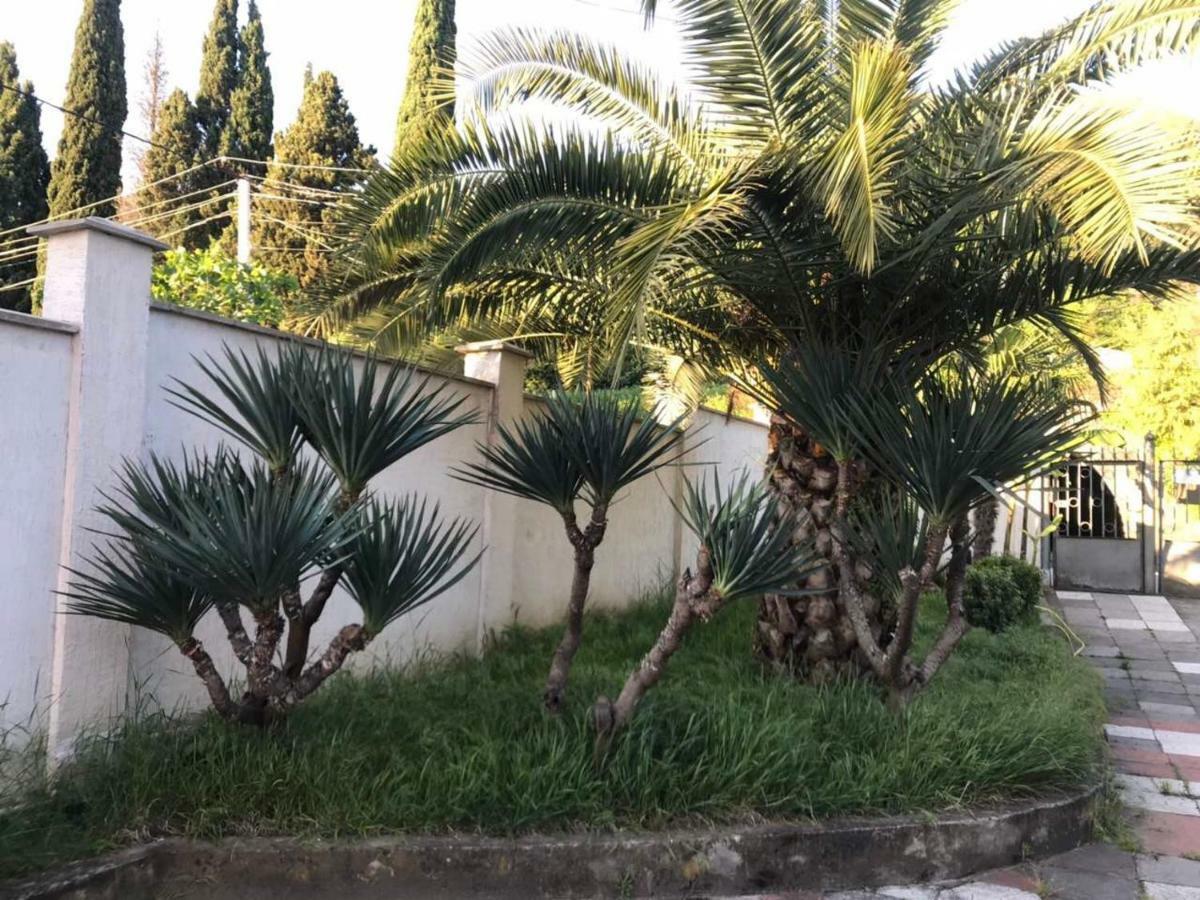 Guest House Dali Gagra Ngoại thất bức ảnh