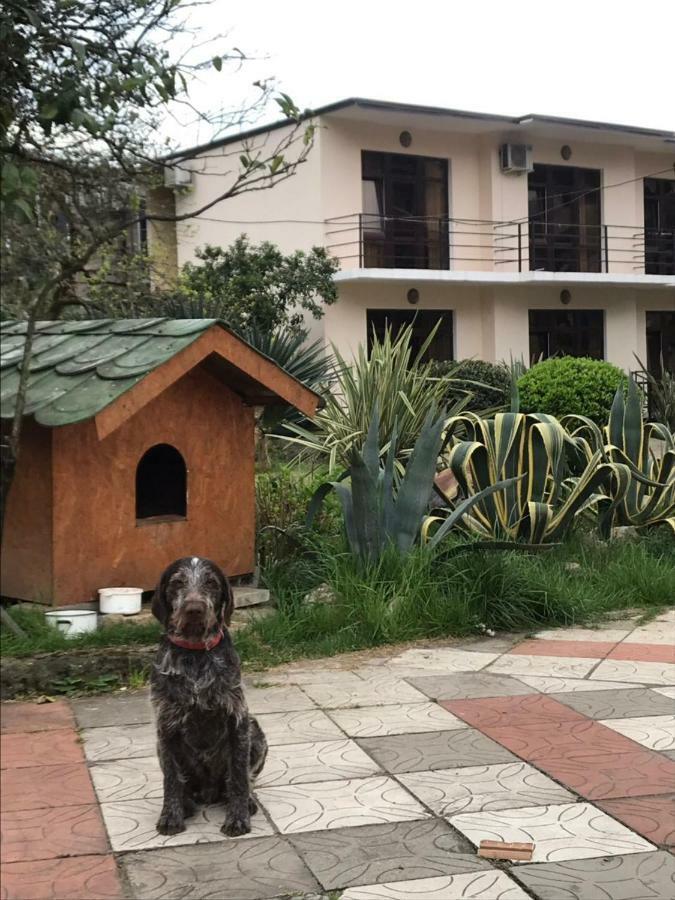 Guest House Dali Gagra Ngoại thất bức ảnh